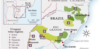 Žemėlapis Urugvajus vyno